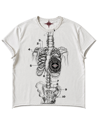 ANATOMY TEE