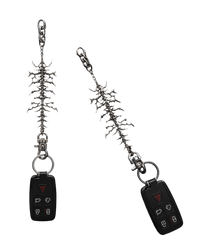 VERTEBRAE (BONUS)