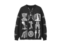 ANATOMY