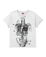 ANATOMY