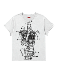 ANATOMY